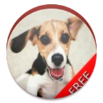 dogsoundsapp android application logo